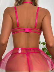 Tulle Daisy Embroider Sexy Lingerie Set