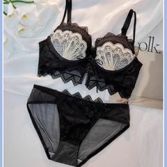 Mesh Sheer Sexy Lingerie Set