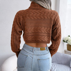 Zola - Brown Braided Turtleneck Crop Top