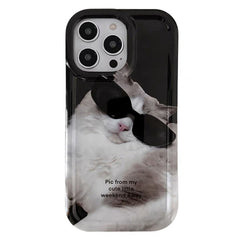 Cat Sunglasses iPhone Case