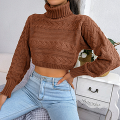 Zola - Brown Braided Turtleneck Crop Top