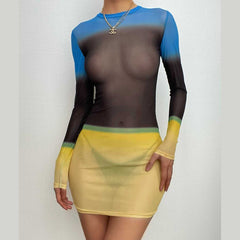 Contrast sheer mesh see through long sleeve crewneck mini dress