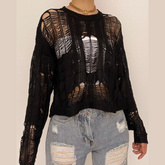 Solid hollow out crochet long sleeve round neck top