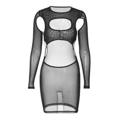 Long sleeve hollow out sheer mesh see through mini dress