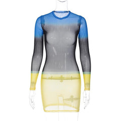 Contrast sheer mesh see through long sleeve crewneck mini dress