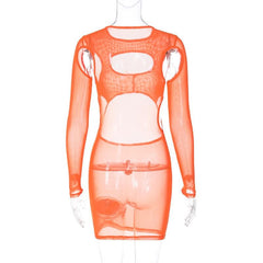 Long sleeve hollow out sheer mesh see through mini dress