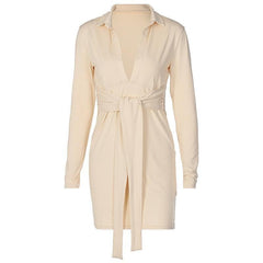 Long sleeve deep v neck turnover collar mini dress