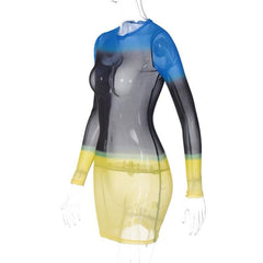 Contrast sheer mesh see through long sleeve crewneck mini dress