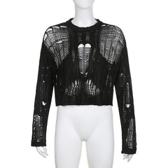 Solid hollow out crochet long sleeve round neck top