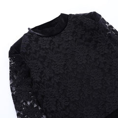 Lace solid see through long sleeve furry mini dress