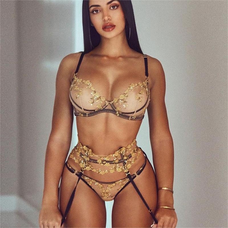 Perspective Embroider Lace Sexy Lingerie Set