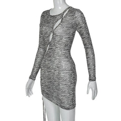 Zebra print hollow out irregular long sleeve sheer mesh see through mini dress