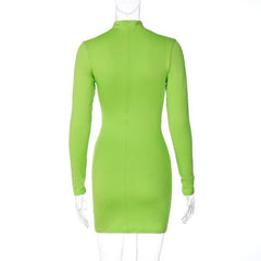 Ruched solid high neck long sleeve mini dress